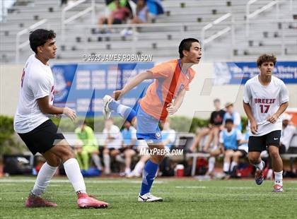 Thumbnail 1 in Seabreeze @ Bolles photogallery.