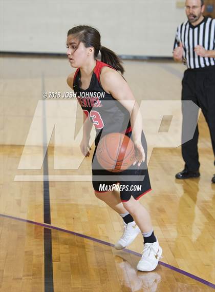 Thumbnail 1 in Prentice @ Clayton (WIAA D5 Regional Semifinal)  photogallery.