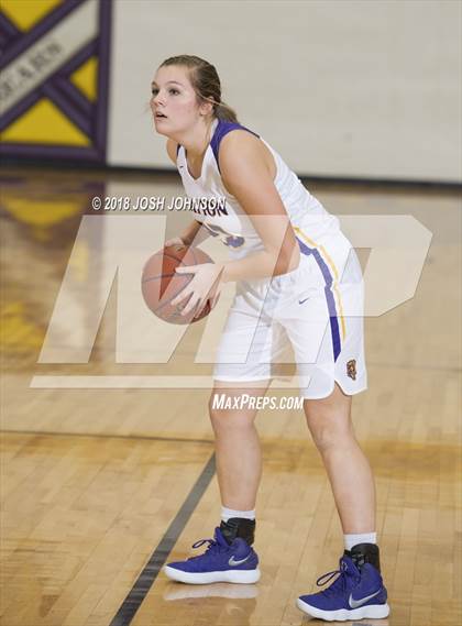 Thumbnail 1 in Prentice @ Clayton (WIAA D5 Regional Semifinal)  photogallery.