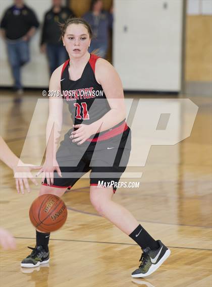 Thumbnail 1 in Prentice @ Clayton (WIAA D5 Regional Semifinal)  photogallery.
