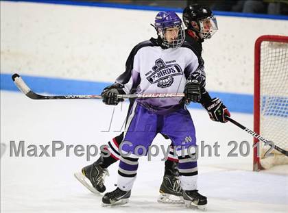 Thumbnail 1 in Branford vs. North Branford (CIAC Division II Semifinal) photogallery.