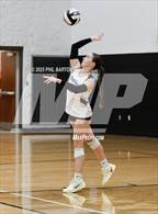 Photo from the gallery "Coshocton @ New Lexington"