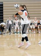 Photo from the gallery "Coshocton @ New Lexington"