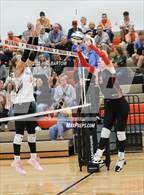 Photo from the gallery "Coshocton @ New Lexington"