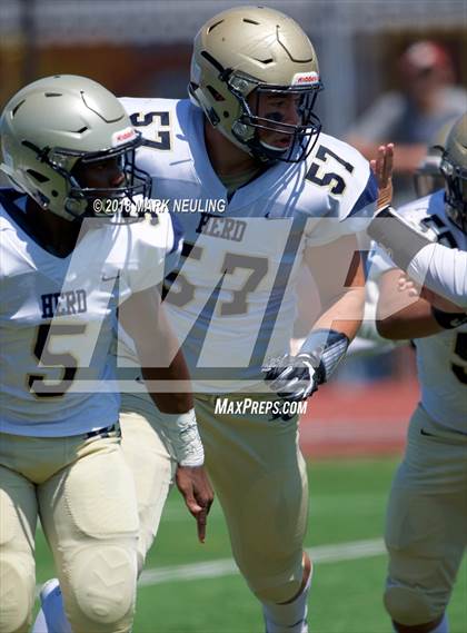 Thumbnail 3 in Elk Grove @ Serra photogallery.