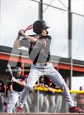 Photo from the gallery "South Albany @ Central"
