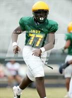 Photo from the gallery "South Mecklenburg @ Independence"
