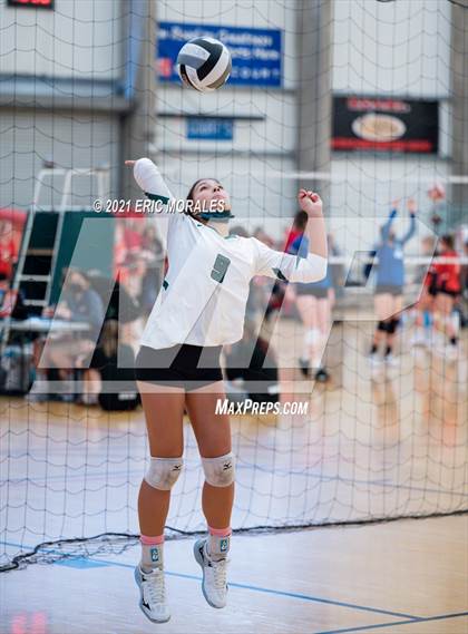 Thumbnail 1 in Coronado vs Academy of Our Lady of Peace (Southern California Invitational) photogallery.