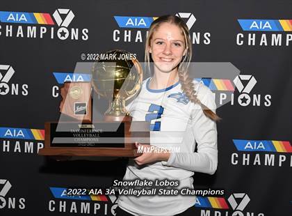Thumbnail 3 in Snowflake vs. Northwest Christian (AIA 3A Finals Awards) photogallery.