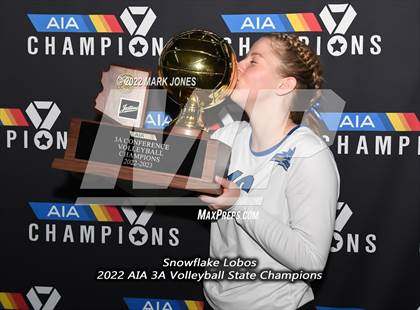 Thumbnail 3 in Snowflake vs. Northwest Christian (AIA 3A Finals Awards) photogallery.