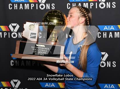 Thumbnail 3 in Snowflake vs. Northwest Christian (AIA 3A Finals Awards) photogallery.