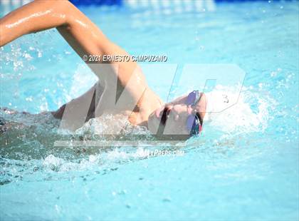 Thumbnail 1 in Kofa @ Gila Ridge photogallery.
