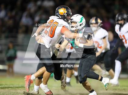 Thumbnail 1 in Lincoln vs Eagle Rock photogallery.