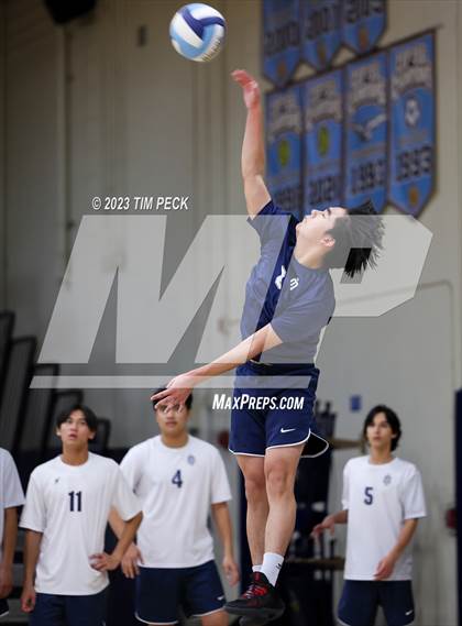 Thumbnail 1 in Los Alamitos @ Marina photogallery.
