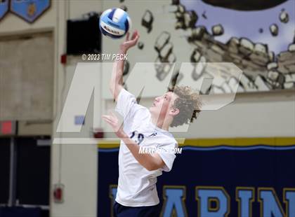 Thumbnail 2 in Los Alamitos @ Marina photogallery.