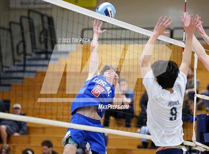 Thumbnail 1 in Los Alamitos @ Marina photogallery.