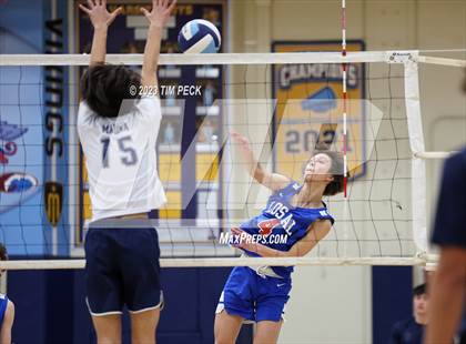 Thumbnail 1 in Los Alamitos @ Marina photogallery.