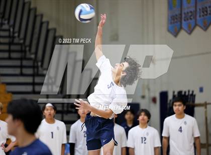 Thumbnail 2 in Los Alamitos @ Marina photogallery.