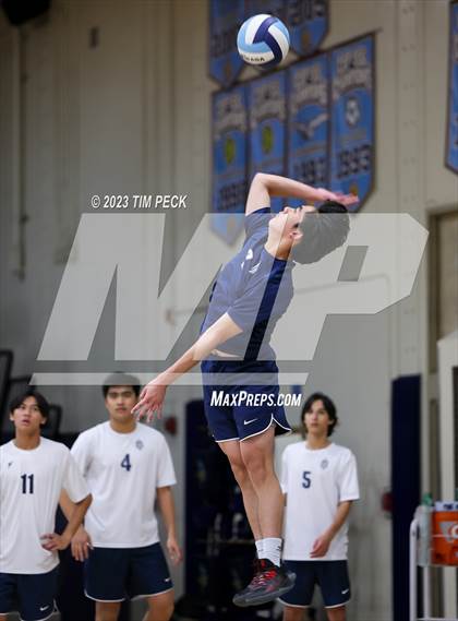 Thumbnail 2 in Los Alamitos @ Marina photogallery.