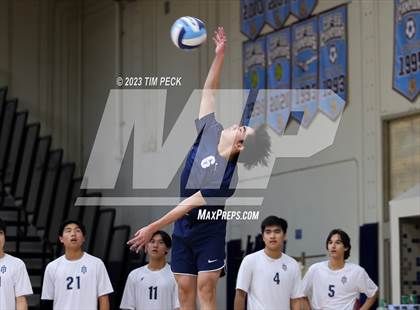 Thumbnail 3 in Los Alamitos @ Marina photogallery.