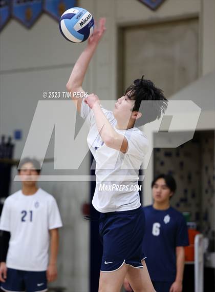 Thumbnail 2 in Los Alamitos @ Marina photogallery.