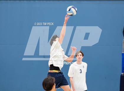 Thumbnail 3 in Los Alamitos @ Marina photogallery.