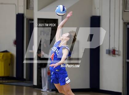 Thumbnail 1 in Los Alamitos @ Marina photogallery.