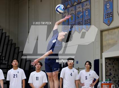 Thumbnail 2 in Los Alamitos @ Marina photogallery.