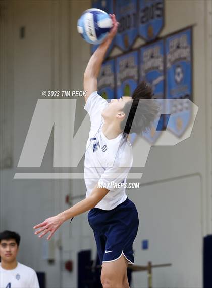 Thumbnail 2 in Los Alamitos @ Marina photogallery.