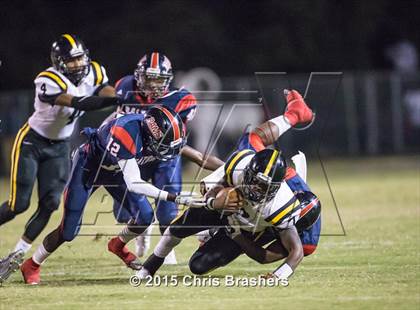 Thumbnail 3 in Neville @ Bastrop photogallery.
