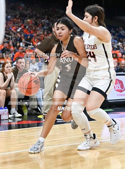 Thumbnail 1 in Robert Lee vs Sands (UIL 1A State Final) photogallery.