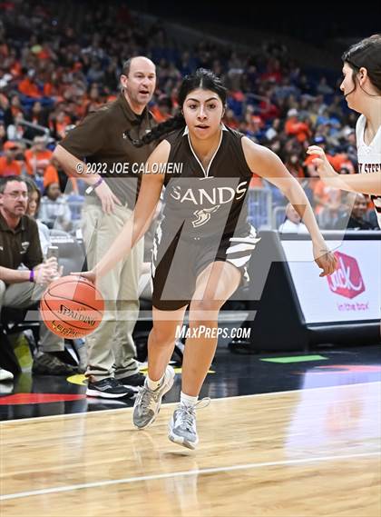 Thumbnail 3 in Robert Lee vs Sands (UIL 1A State Final) photogallery.