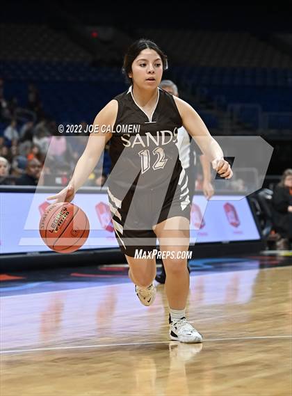 Thumbnail 1 in Robert Lee vs Sands (UIL 1A State Final) photogallery.
