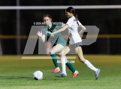Thumbnail 2 in Jack Britt @ Pine Forest photogallery.