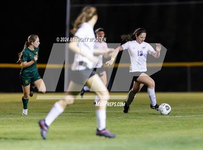Thumbnail 2 in Jack Britt @ Pine Forest photogallery.