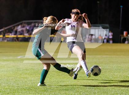 Thumbnail 1 in Jack Britt @ Pine Forest photogallery.
