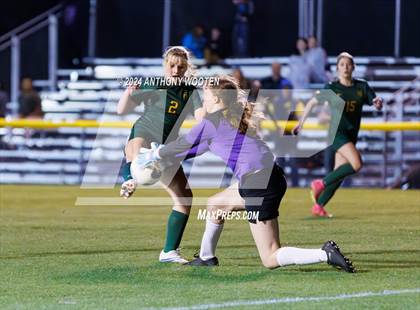 Thumbnail 3 in Jack Britt @ Pine Forest photogallery.