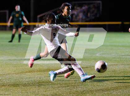 Thumbnail 2 in Jack Britt @ Pine Forest photogallery.