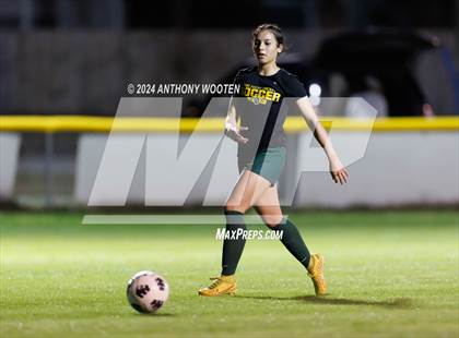 Thumbnail 2 in Jack Britt @ Pine Forest photogallery.