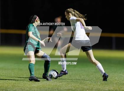 Thumbnail 3 in Jack Britt @ Pine Forest photogallery.
