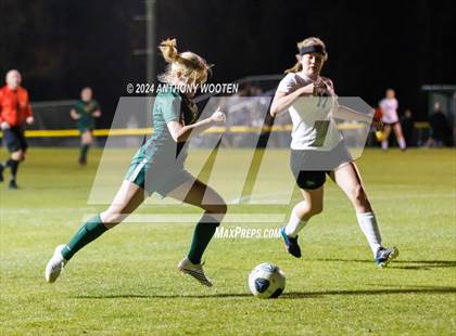 Thumbnail 1 in Jack Britt @ Pine Forest photogallery.