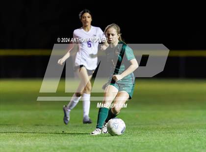 Thumbnail 2 in Jack Britt @ Pine Forest photogallery.