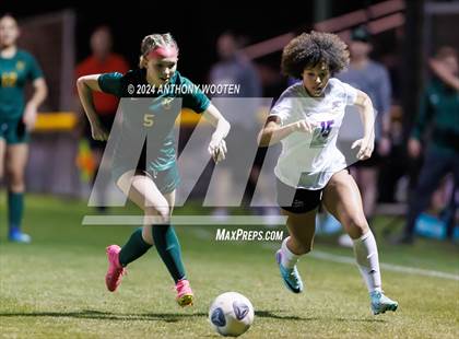 Thumbnail 3 in Jack Britt @ Pine Forest photogallery.
