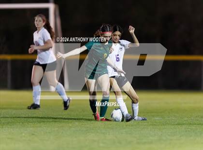 Thumbnail 1 in Jack Britt @ Pine Forest photogallery.