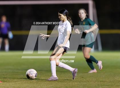 Thumbnail 2 in Jack Britt @ Pine Forest photogallery.