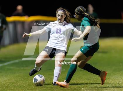 Thumbnail 2 in Jack Britt @ Pine Forest photogallery.