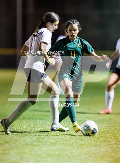 Thumbnail 3 in Jack Britt @ Pine Forest photogallery.