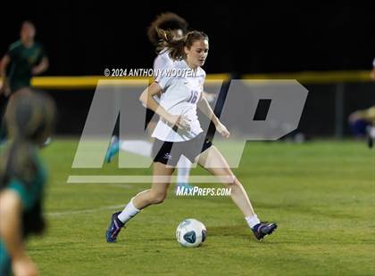 Thumbnail 2 in Jack Britt @ Pine Forest photogallery.