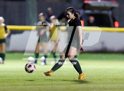 Thumbnail 3 in Jack Britt @ Pine Forest photogallery.
