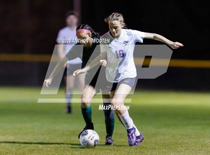 Thumbnail 3 in Jack Britt @ Pine Forest photogallery.